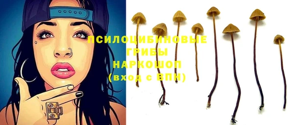 Альфа ПВП Вязьма