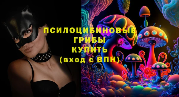 метадон Гусь-Хрустальный