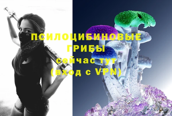 кокс Дмитров
