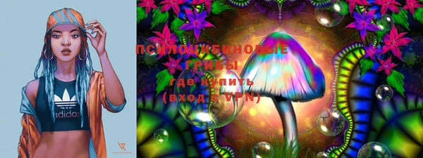 метадон Гусь-Хрустальный