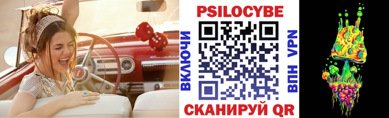 где найти   Горбатов  гидра ТОР  Псилоцибиновые грибы Cubensis 